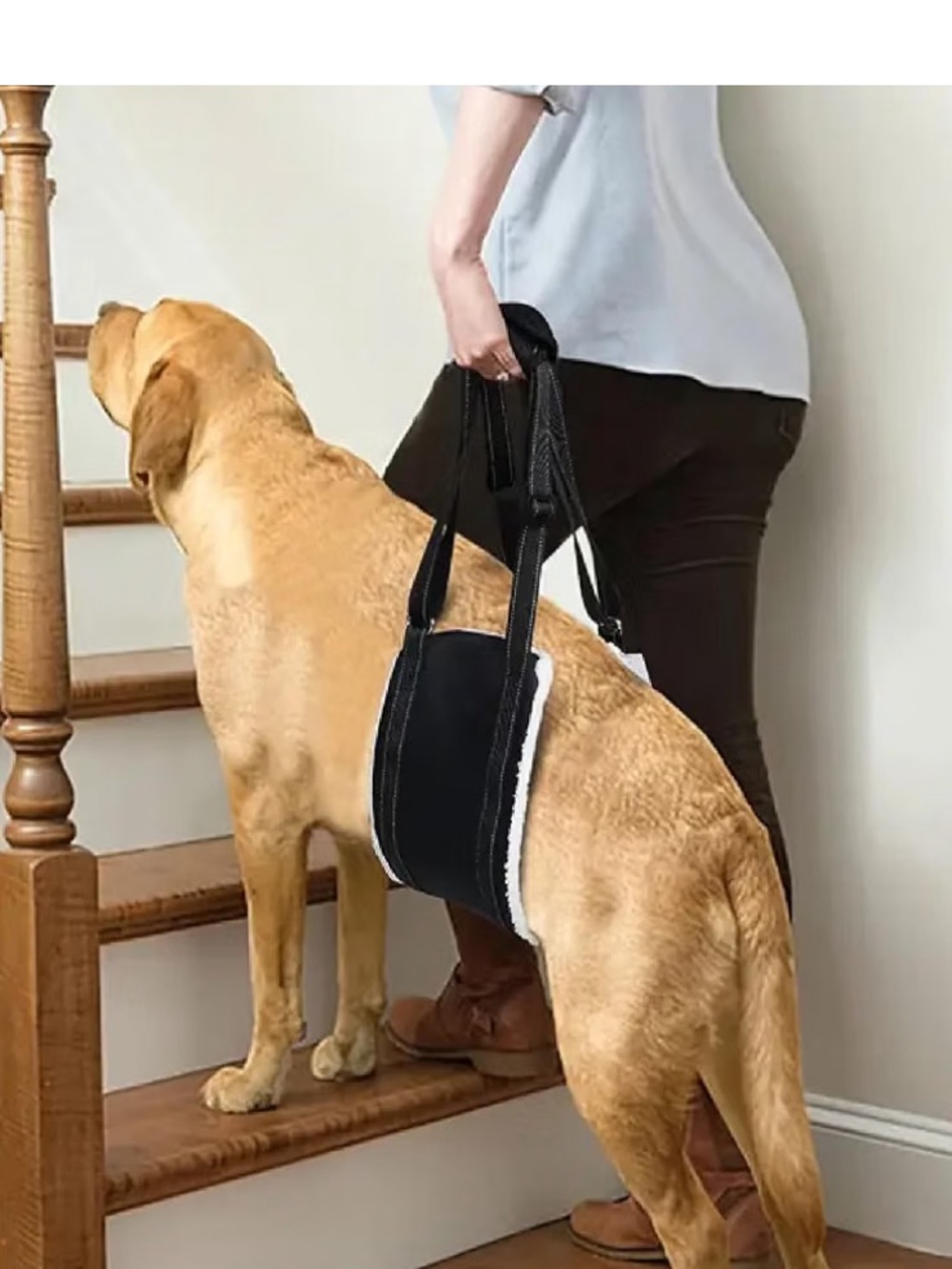 Black Dog Lift Harness Support Strap - Rear & Hip Support